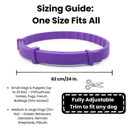 PawLax Collar [FREE TODAY]